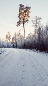Preview wallpaper road, snow, trees, nature
