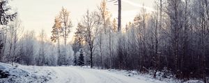 Preview wallpaper road, snow, trees, nature