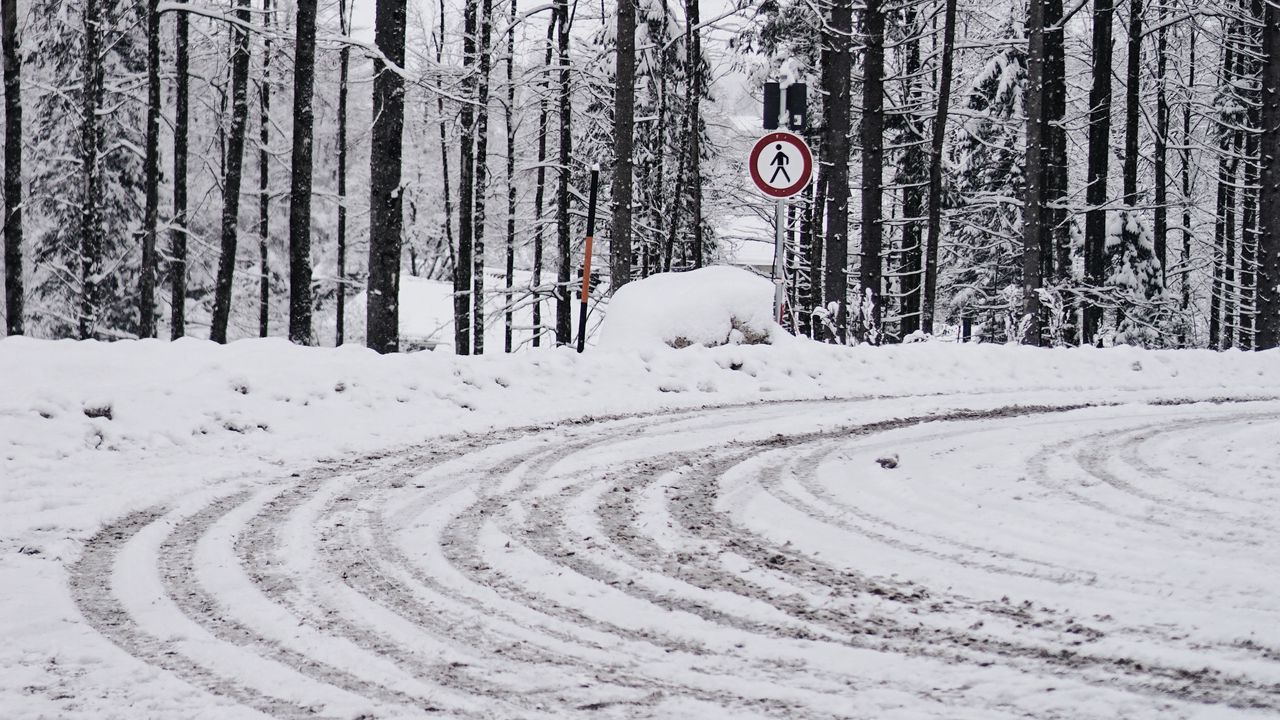 Wallpaper road, snow, turn, trees, winter