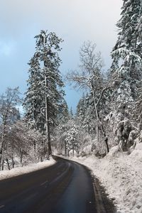 Preview wallpaper road, snow, winter, turn, valley, landscape