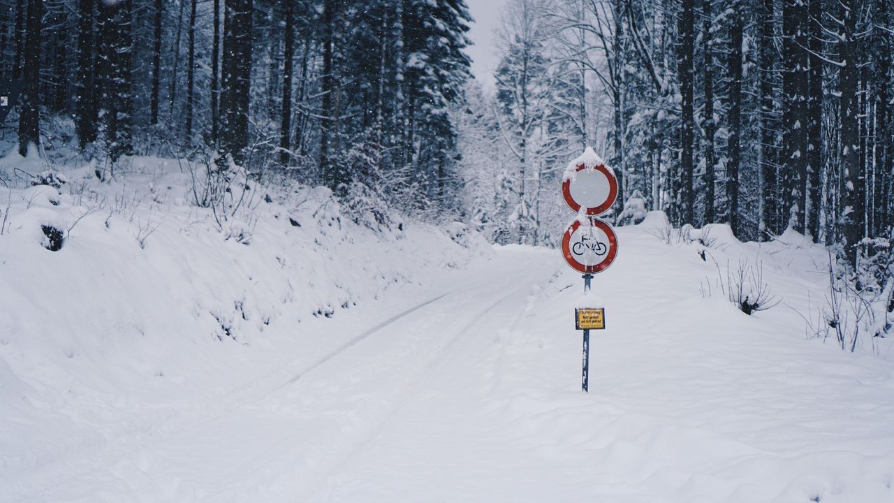Wallpaper road, snow, winter, pointer, forest