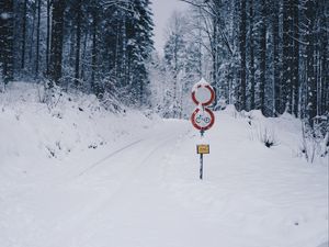 Preview wallpaper road, snow, winter, pointer, forest