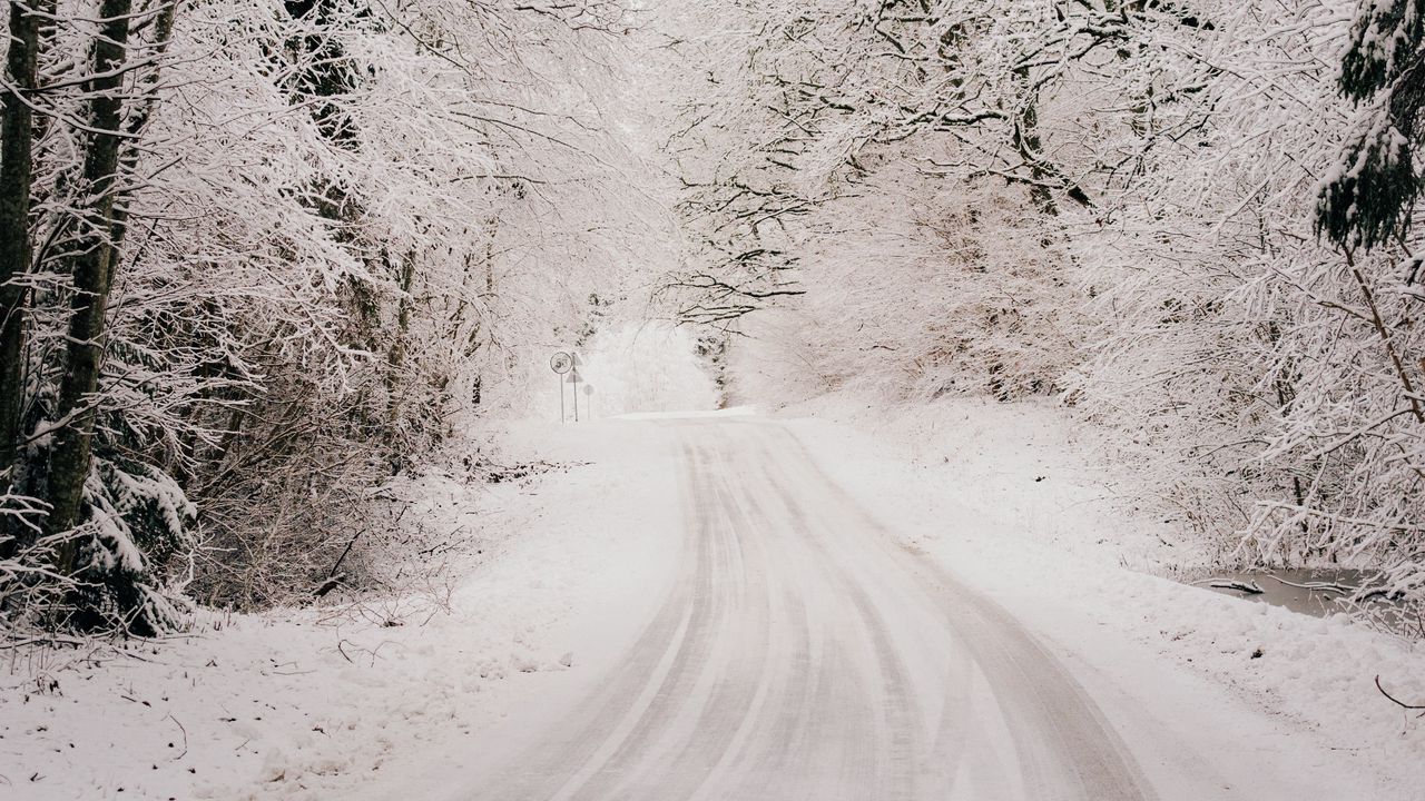 Wallpaper road, snow, winter, forest, trees, bushes