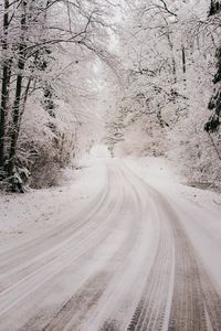 Preview wallpaper road, snow, winter, forest, trees, bushes