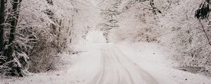 Preview wallpaper road, snow, winter, forest, trees, bushes