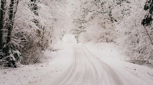 Preview wallpaper road, snow, winter, forest, trees, bushes