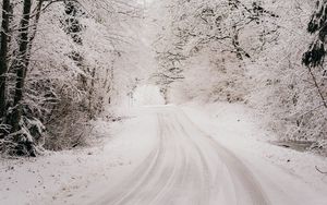 Preview wallpaper road, snow, winter, forest, trees, bushes