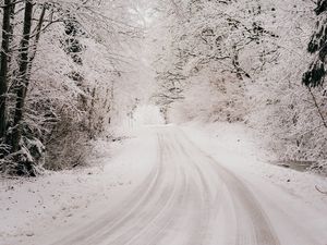 Preview wallpaper road, snow, winter, forest, trees, bushes