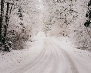 Preview wallpaper road, snow, winter, forest, trees, bushes