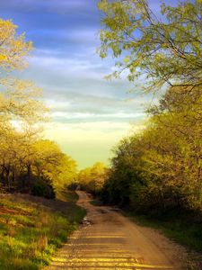 Preview wallpaper road, soil, country, trees, spring, pools