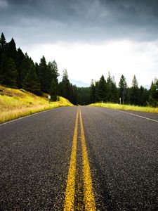 Preview wallpaper road, spruce, marking, distance, trees