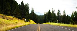 Preview wallpaper road, spruce, marking, distance, trees