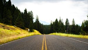 Preview wallpaper road, spruce, marking, distance, trees