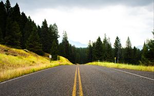 Preview wallpaper road, spruce, marking, distance, trees