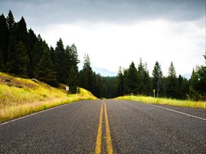 Preview wallpaper road, spruce, marking, distance, trees