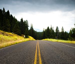 Preview wallpaper road, spruce, marking, distance, trees