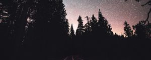 Preview wallpaper road, starry sky, night, trees, marking