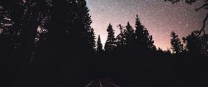 Preview wallpaper road, starry sky, night, trees, marking