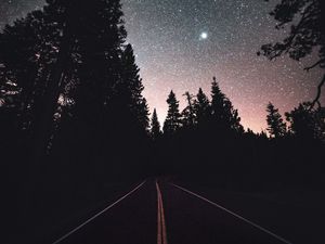 Preview wallpaper road, starry sky, night, trees, marking