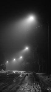 Preview wallpaper road, streetlights, night, snow, bw, dark