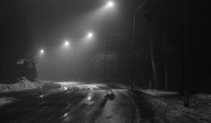 Preview wallpaper road, streetlights, night, snow, bw, dark