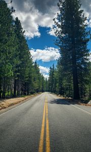 Preview wallpaper road, stripes, trees, forest, nature