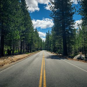 Preview wallpaper road, stripes, trees, forest, nature