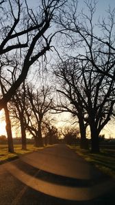 Preview wallpaper road, sunset, trees, asphalt