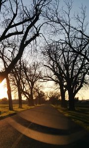 Preview wallpaper road, sunset, trees, asphalt