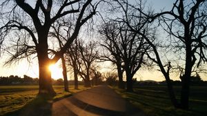 Preview wallpaper road, sunset, trees, asphalt