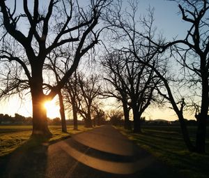 Preview wallpaper road, sunset, trees, asphalt