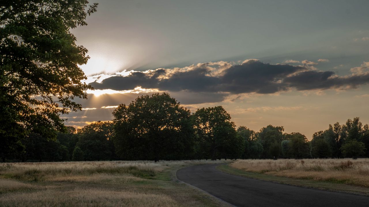 Wallpaper road, sunset, trees, clouds, sky, sun, rays