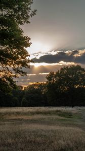 Preview wallpaper road, sunset, trees, clouds, sky, sun, rays