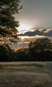 Preview wallpaper road, sunset, trees, clouds, sky, sun, rays