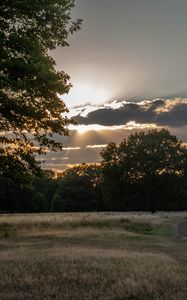 Preview wallpaper road, sunset, trees, clouds, sky, sun, rays