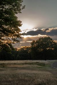 Preview wallpaper road, sunset, trees, clouds, sky, sun, rays