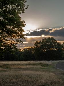 Preview wallpaper road, sunset, trees, clouds, sky, sun, rays