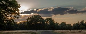 Preview wallpaper road, sunset, trees, clouds, sky, sun, rays