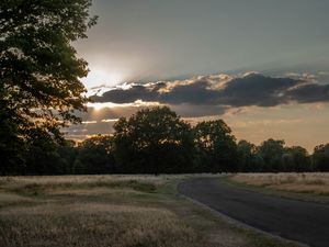 Preview wallpaper road, sunset, trees, clouds, sky, sun, rays
