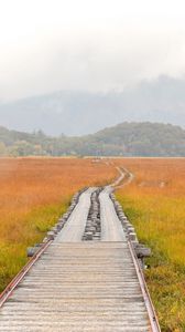 Preview wallpaper road, swamp, fog, nature