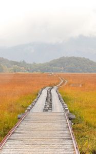 Preview wallpaper road, swamp, fog, nature