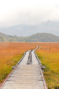 Preview wallpaper road, swamp, fog, nature