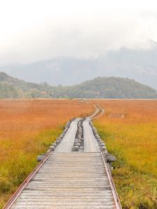 Preview wallpaper road, swamp, fog, nature