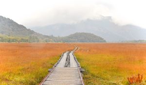 Preview wallpaper road, swamp, fog, nature