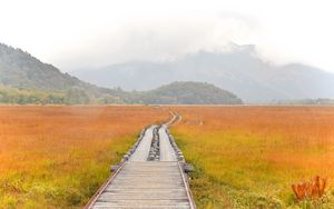 Preview wallpaper road, swamp, fog, nature