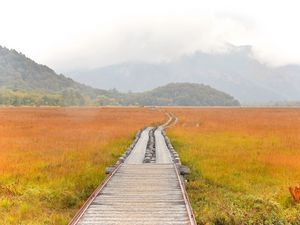 Preview wallpaper road, swamp, fog, nature