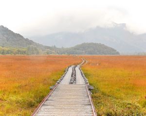 Preview wallpaper road, swamp, fog, nature