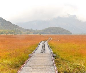 Preview wallpaper road, swamp, fog, nature