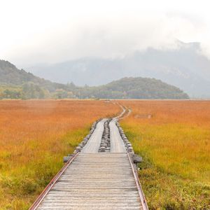 Preview wallpaper road, swamp, fog, nature