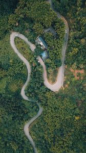 Preview wallpaper road, top view, forest, trees